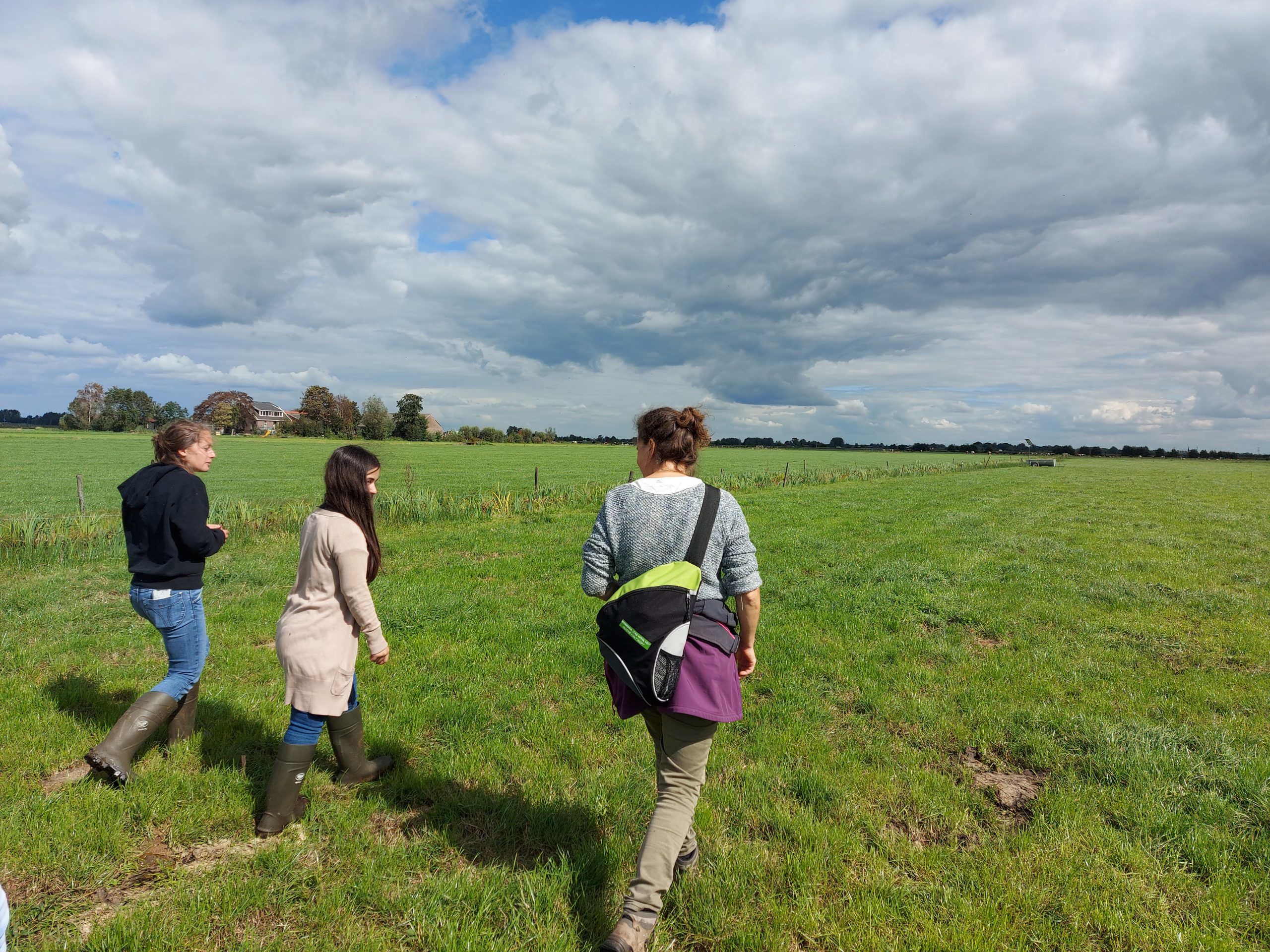 wandelingen